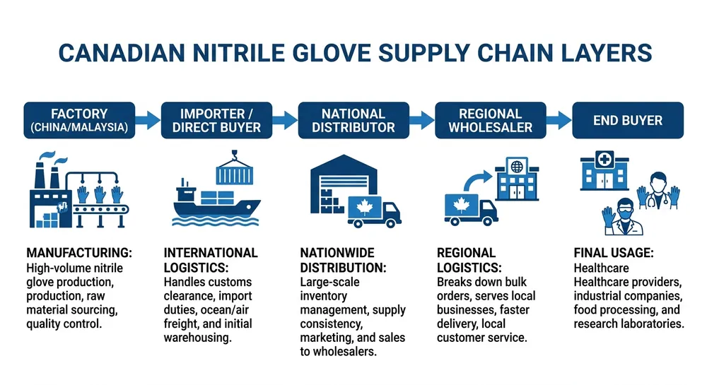 Supplier landscape map showing local distributors and factory-direct sourcing options for blue nitrile gloves in Canada