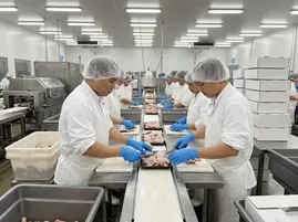 Food processing and food service nitrile glove supply