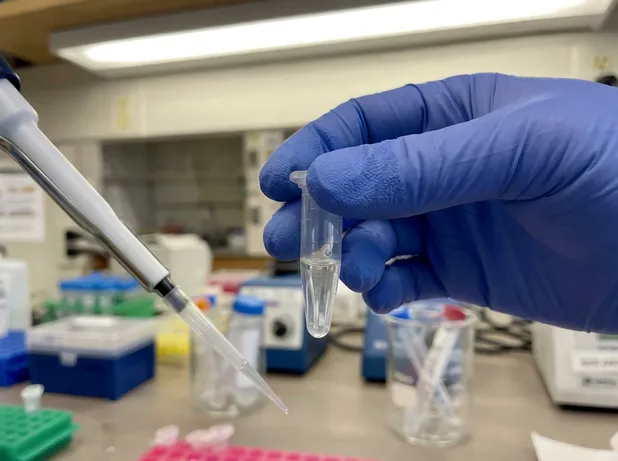 Textured fingertip detail on laboratory nitrile glove for grip on sample tubes and pipettes