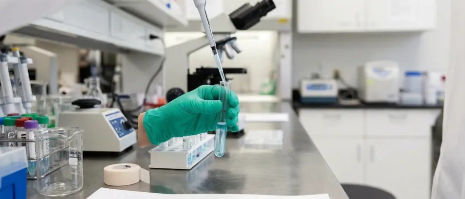 Green examination nitrile gloves in clinical and laboratory settings