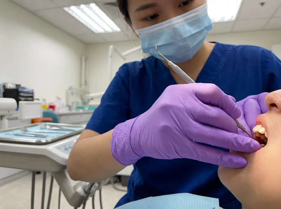 Purple nitrile examination gloves used in dental and veterinary clinical settings